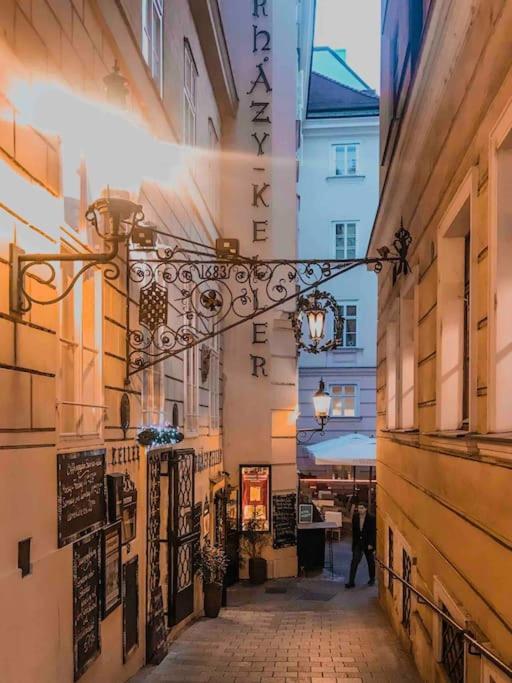 Vienna Citycenter+Terrace+Parking Экстерьер фото
